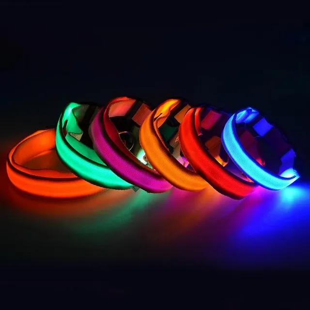 Illuminated LED dog collar