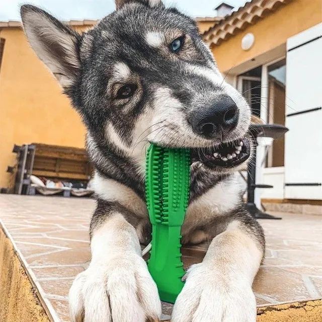 Toothbrush for dogs