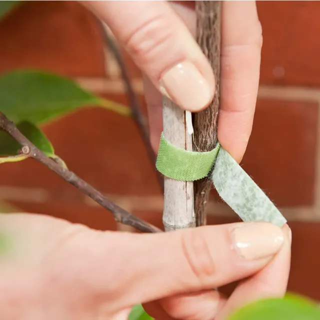 Samolepicí pásky na rostliny z nylonu