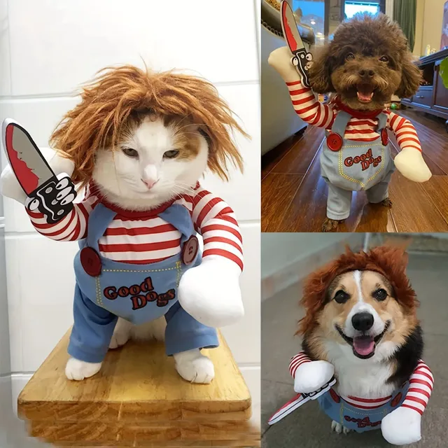 Halloween: Costume of scary dolls for dogs - Cute and scary at the same time