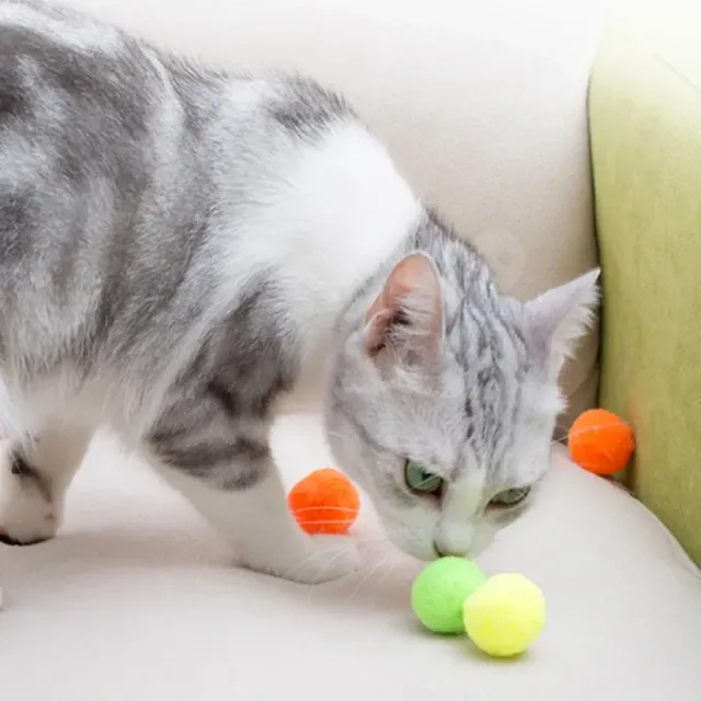 Jucărie pentru pisici - bile de pluș 50/100 bucăți