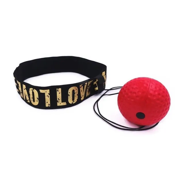 Boxing ball with headband