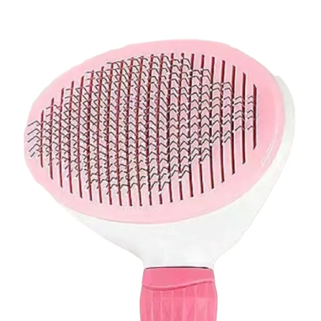 Oval Brush for Animals