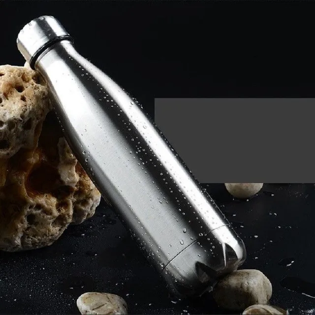 Stainless steel travel bottle