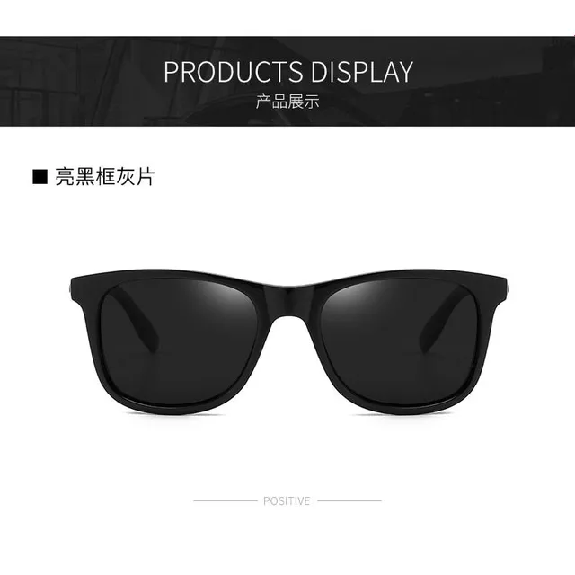 Men's polarized sunglasses Ray