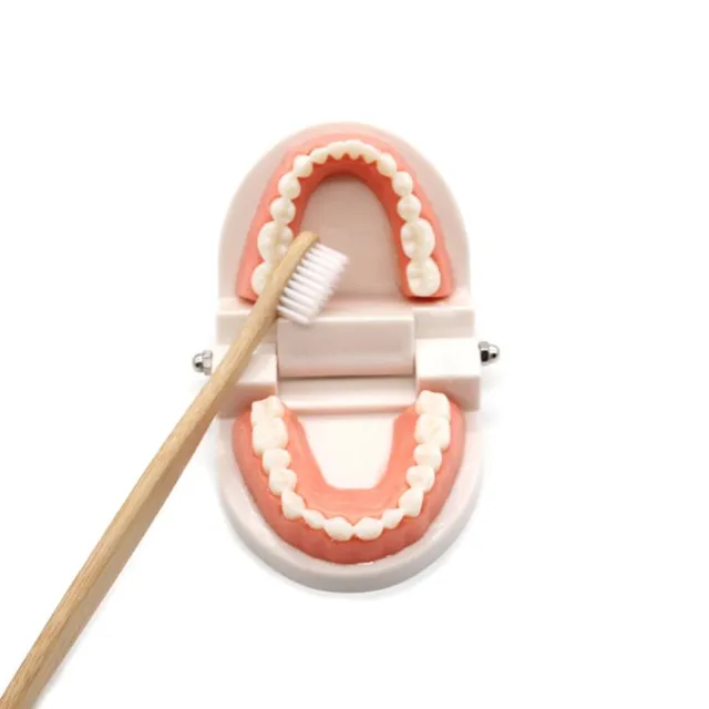 Dětská vzdělávací hračka pro čištění zubů