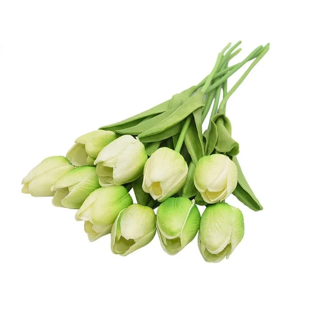 Tulipany 10 sztuk