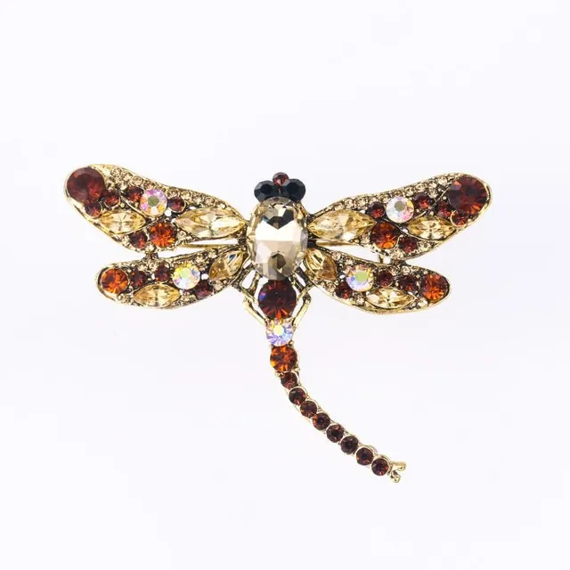 Beautiful ladies brooch decorated with dragonfly