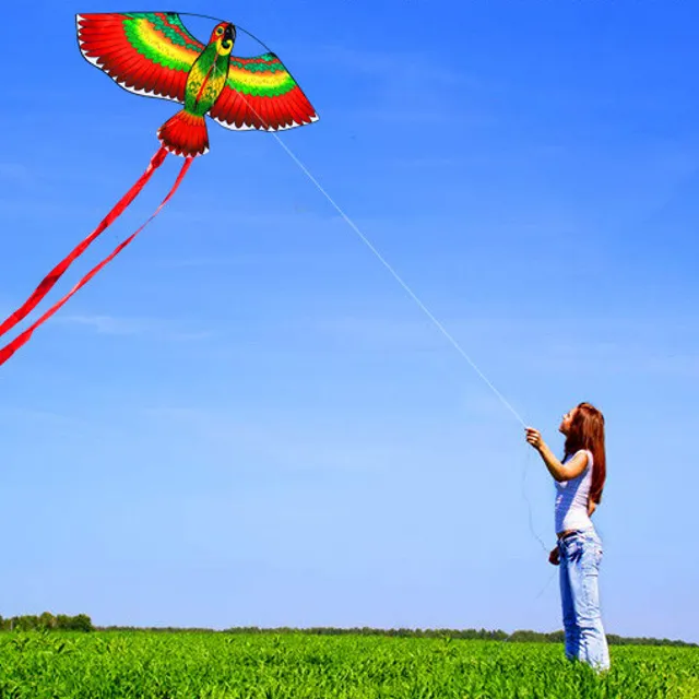 Flying parrot-shaped kite - 3 colours