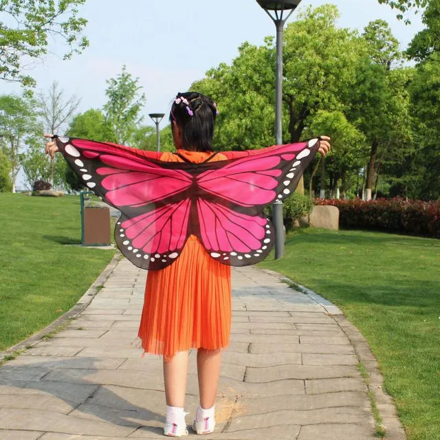 Zdobiť motýle krídla