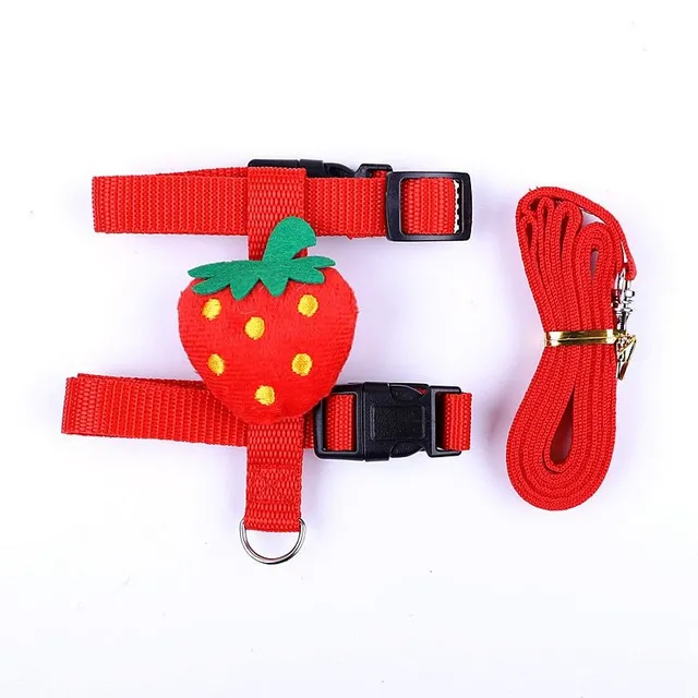 Modern crossbows with leash for rabbits with design detail of fruits and vegetables - more colors