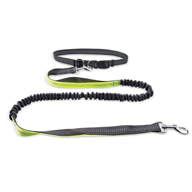 Reflective multifunctional running leash for dogs