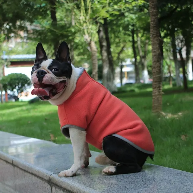 Winter suit for small dogs