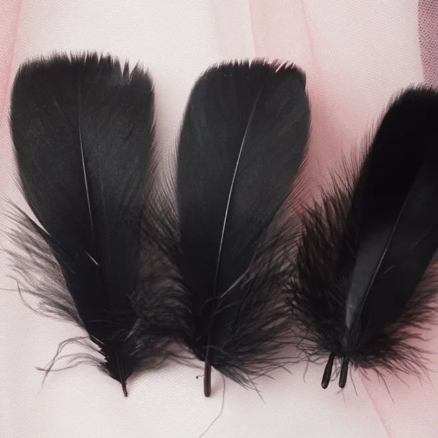 Natural coloured decorative feathers - 100 pcs