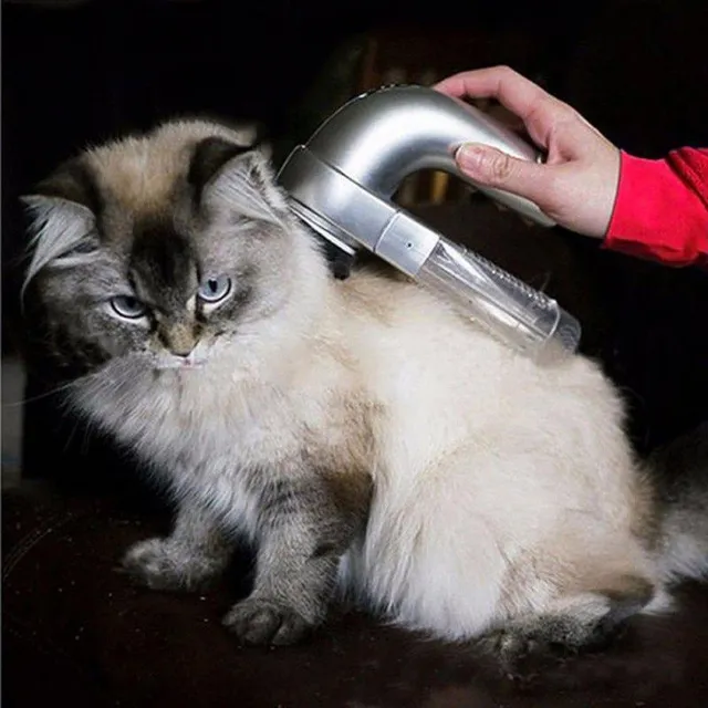 Hair remover for pets (Silver)