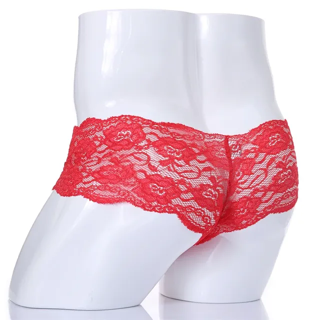 Men's lace briefs