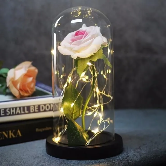 Luminous Roses in luxury packaging