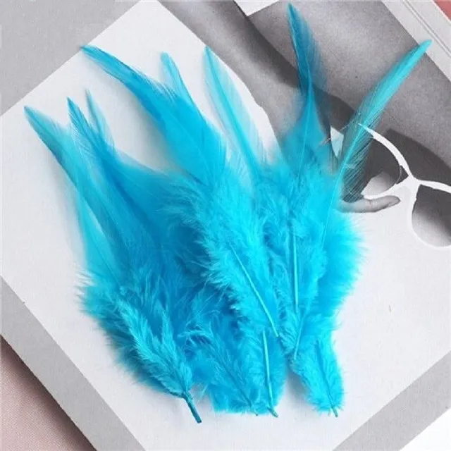 Decorative cock feathers 10-15 cm 50 pcs