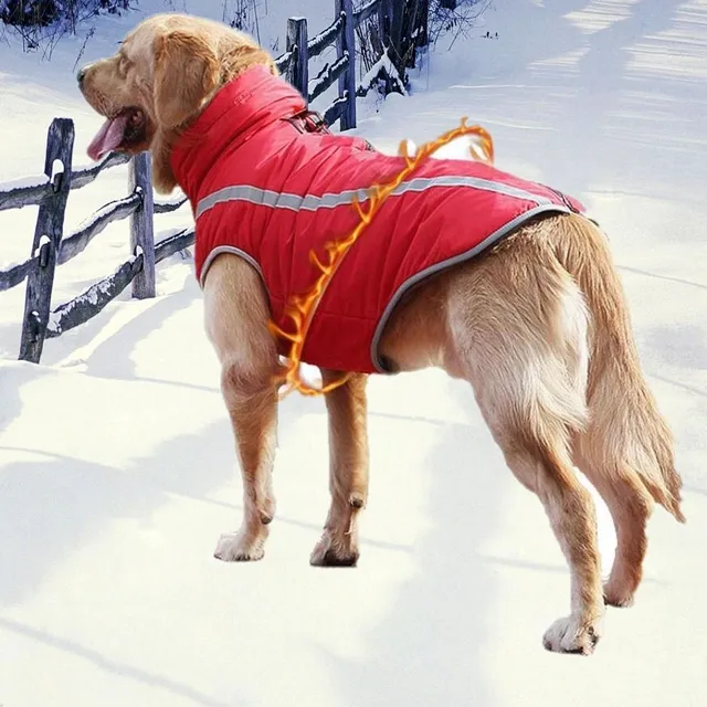 Zimný oblek pre psa Rufus