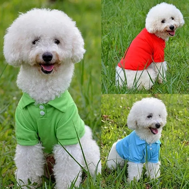 T-shirt for dogs