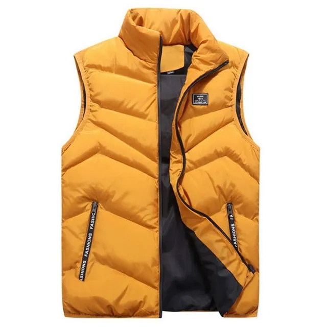 Autumn men's vest