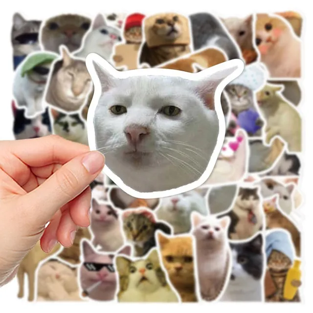 Set of funny stickers with cat Kitty