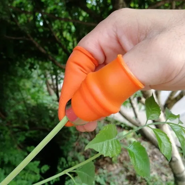 Fruit cutting tool