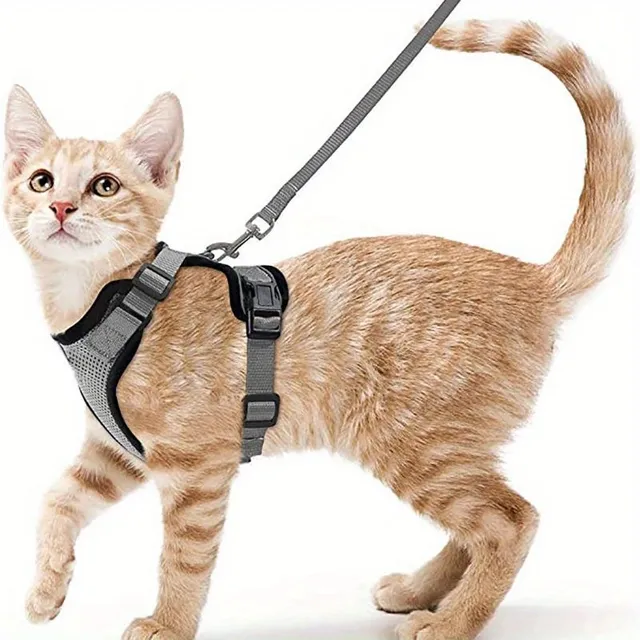 Safety harness and guide for cats - Soft and adjustable, Ideal for walking and exploring