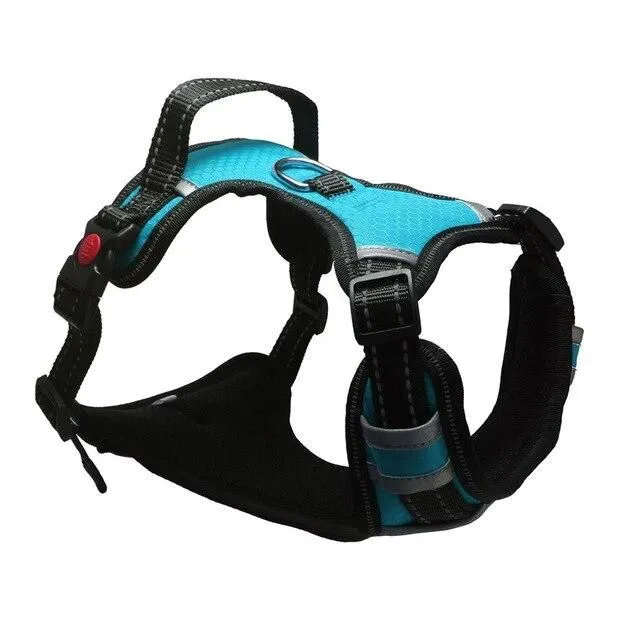 Harness for large dogs blue s-chest-40-70cm