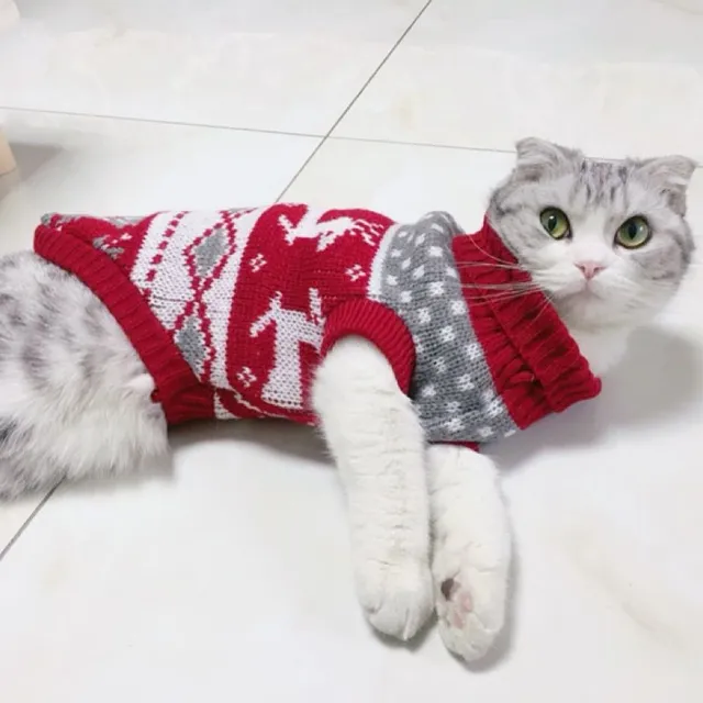 Zimní kočičí oblečky