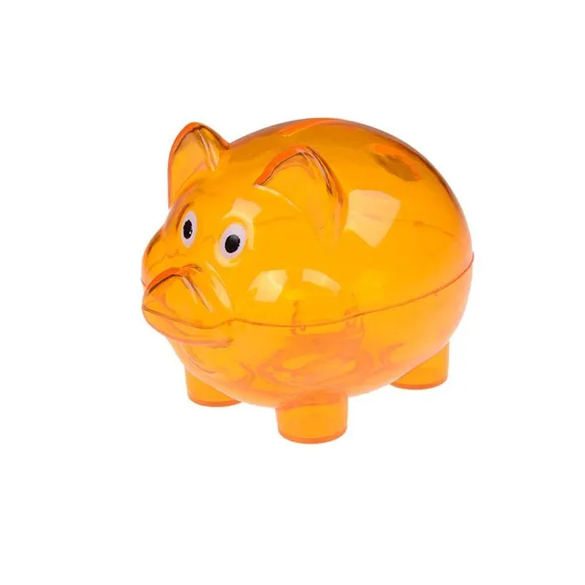 Plastic transparent piggy bank Frederic