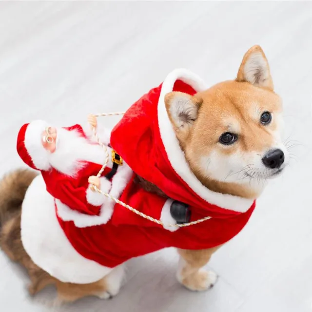 Christmas coat from Santa Claus on the back for pets