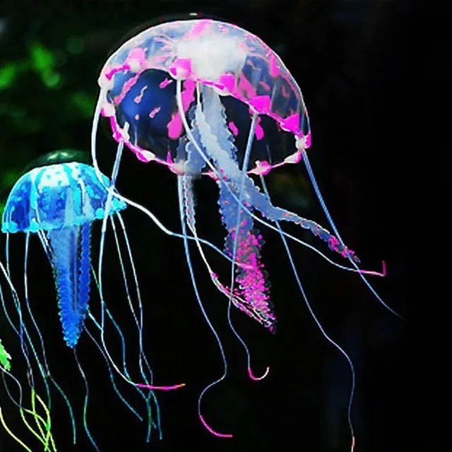 Fényes medúza az akváriumba