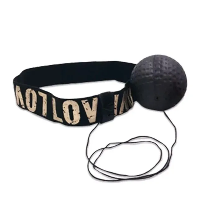 Boxing ball with headband