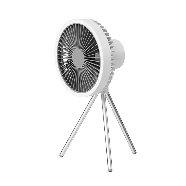 Portable fan with light