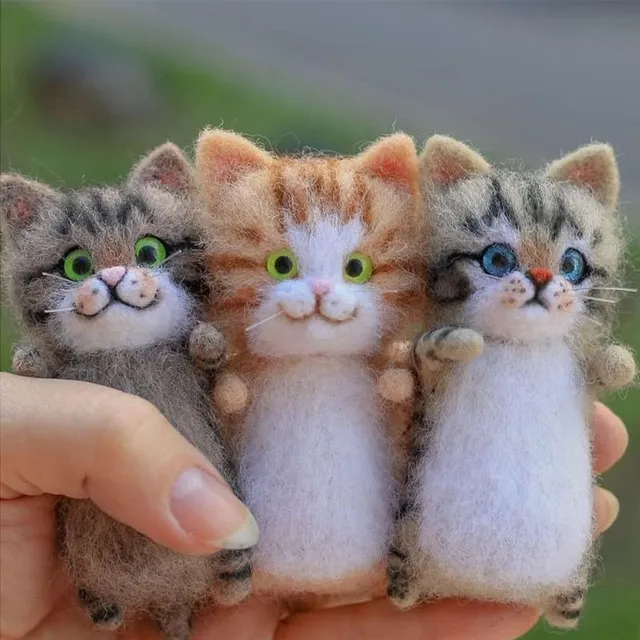 Cute interesting handmade felt pussy + gift