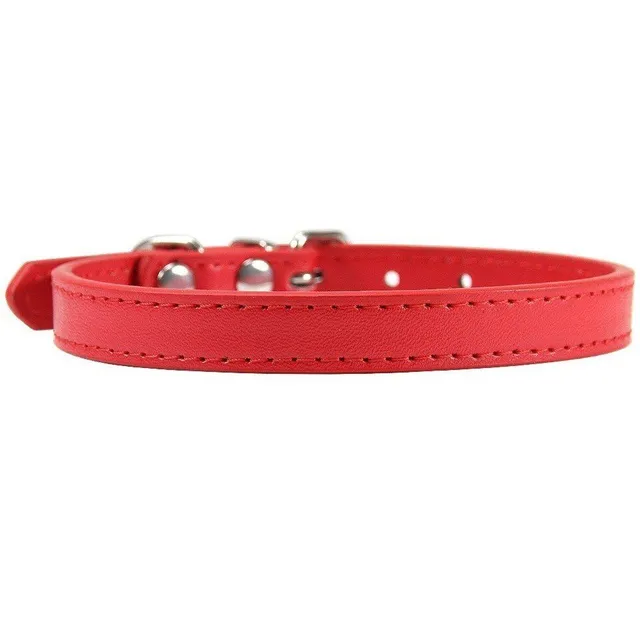 Modern trendy monocolor popular classic artificial leather collar - more colors