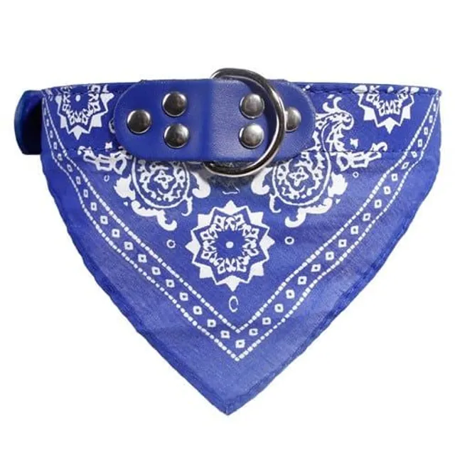 Stylish collar with scarf for dogs