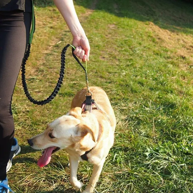 Reflective multifunctional running leash for dogs