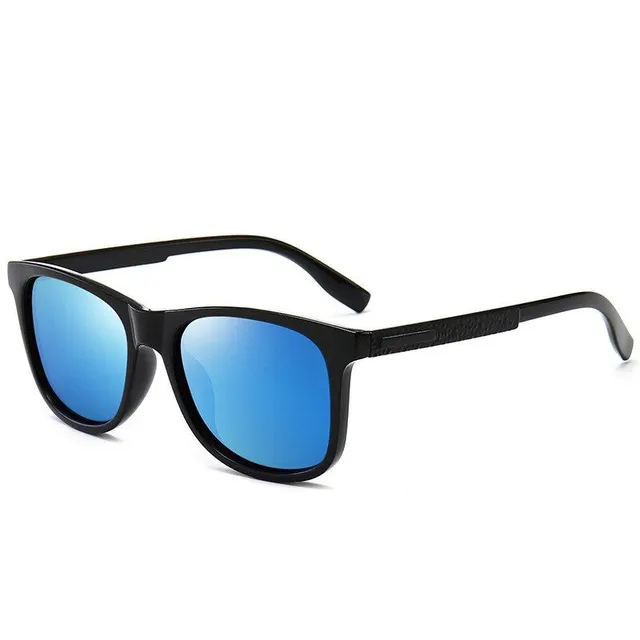 Men's polarized sunglasses Ray