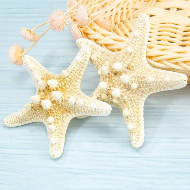 Prírodné morská hviezdica
