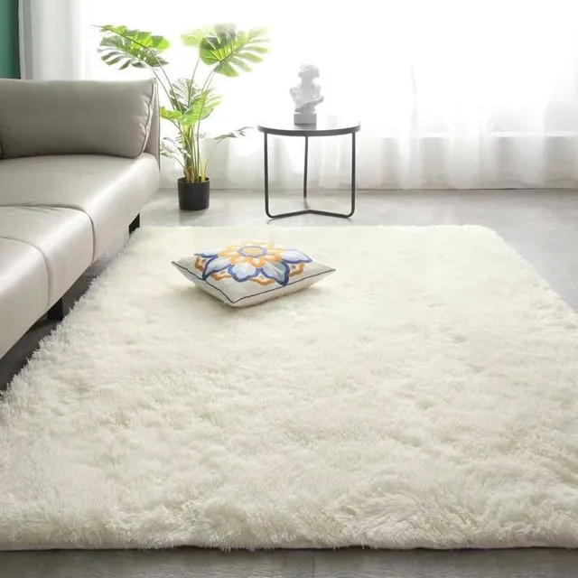 Beautiful original modern minimalist single-colored plush carpet into the house Miriam