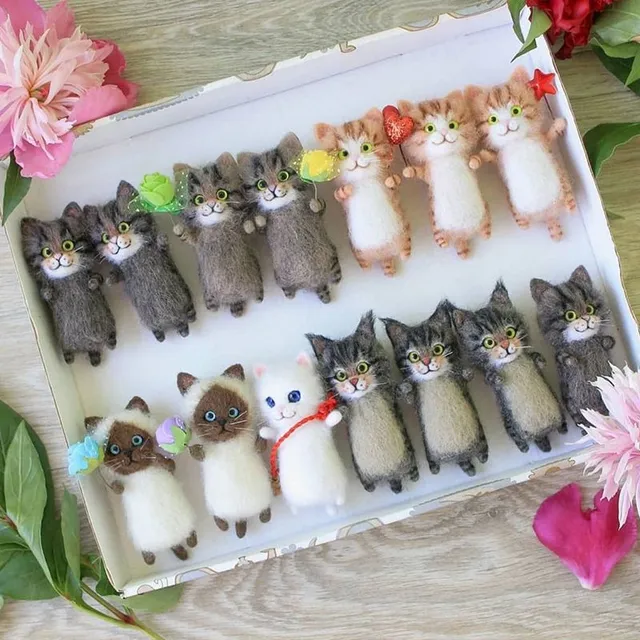 Cute interesting handmade felt pussy + gift