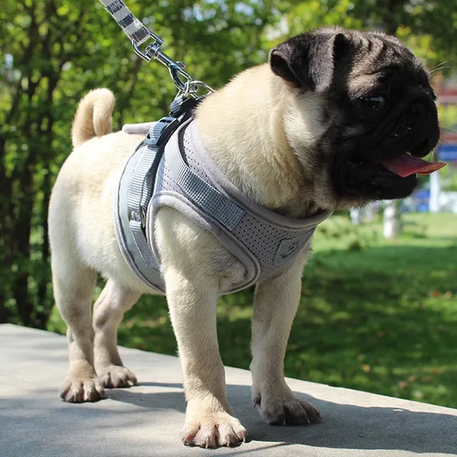 Breathable harness for dogs