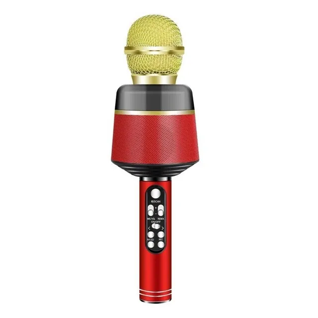 Bluetooth karaoke microphone