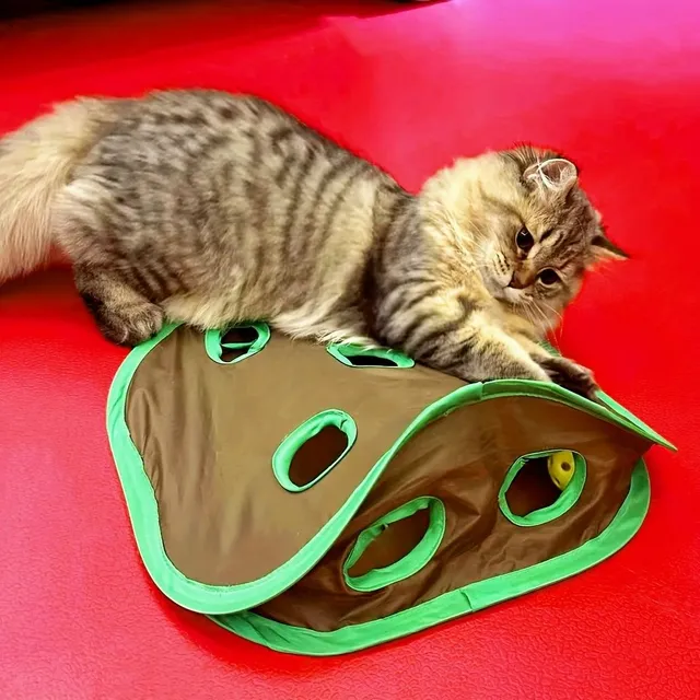 Interactive toy for cats for hide-and-seek