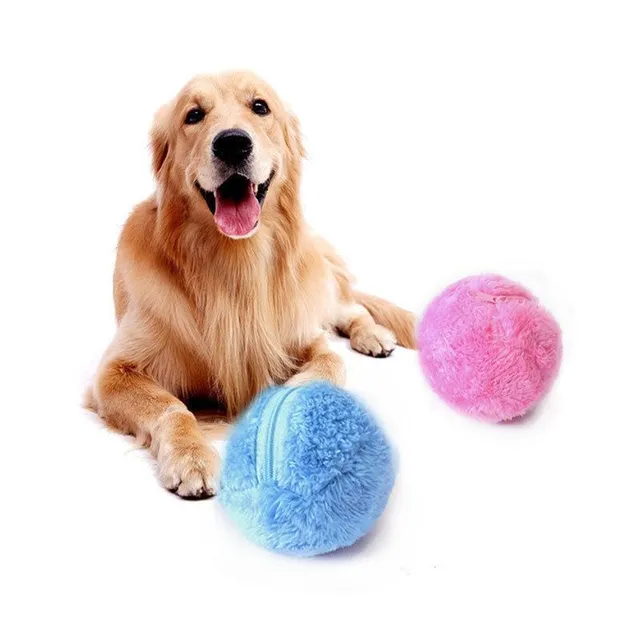 Pet Electric Toy Ball Automatic Pet Teddy Ball
