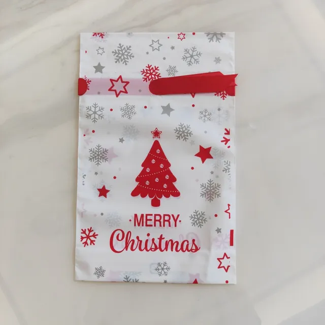 Christmas gift bag 10 pcs