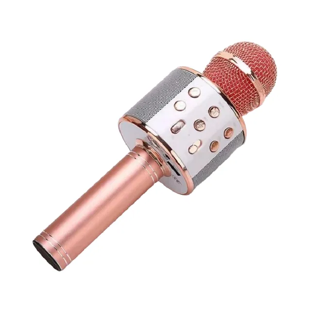 Kids karaoke microphone