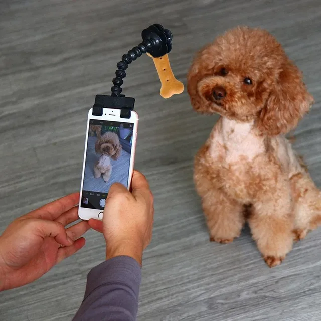 Timeless gadget for perfect photos of your pets